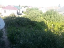 3 sot torpaq sahəsi, Saray qəs.