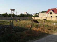 11 sot torpaq sahəsi, Nabran