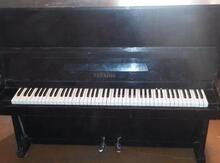 Pianino