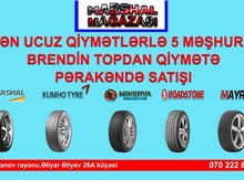 Avtomobil şinləri