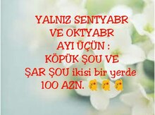 Şou proqram sifarişi