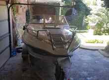 Kater "Delfin GRIZZLY 580"