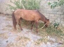 At