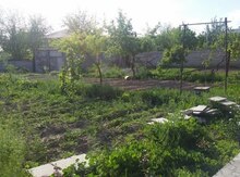 5 sot torpaq sahəsi, Naxçıvan ş.,