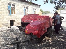 Press bağlayan "Cicoria"