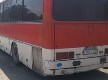 İkarus, 1986 il