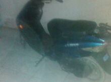 Skuter