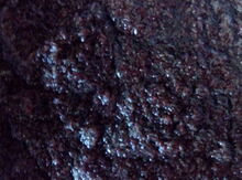 "Artemya" balıq yemi