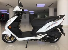 VN100