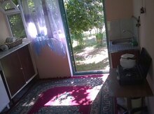 Həyət evi kirayə verilir, Zaqatala r.
