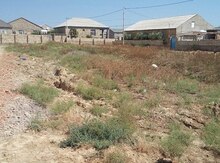 3 sot torpaq sahəsi, Abşeron r.