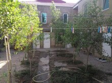 1-otaqlı yeni tikili kirayə verilir, Xırdalan ş., 12 m²