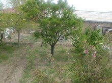 3 sot torpaq sahəsi, Naxcivan MR