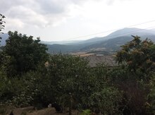 Həyət evi, Şabran r.