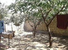 Həyət evi, Gəncə ş.