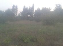40 sot torpaq sahəsi, Qəbələ r.