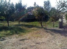 12 sot torpaq sahəsi, Bərdə r.