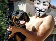 Rotveler cütləşdirmək üçün