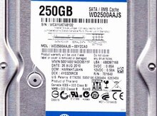 Sərt disk