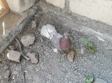 Əbreşdənçıxma göyərçin