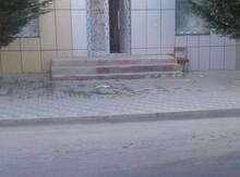 Obyekt icarəyə verilir, Quba ş.