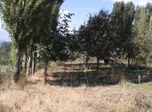 12 sot torpaq sahəsi, Qusar r.