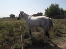 At