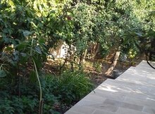 Həyət evi, Şamaxı r.
