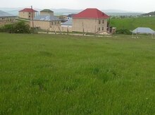 12 sot torpaq sahəsi, Şamaxı r.