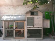 Mini toyuq damı