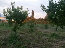 27.2 sot torpaq sahəsi, Ağdaş ş.
