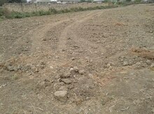 10 sot torpaq sahəsi, Biləsuvar r.