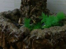Şəlalə-akvarium