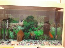 Akvarium