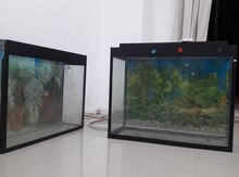 Akvarium