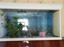 Akvarium