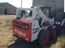 Bob Cat, 2013 il