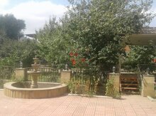 Həyət evi, Masallı r.