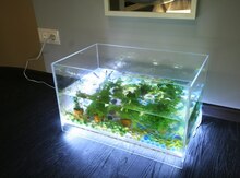 Akvarium və balıqlar