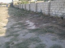 1.5 sot torpaq sahəsi, Saray qəs.