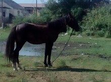 At