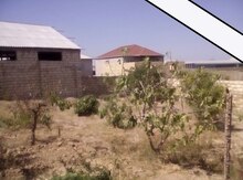3 sot torpaq sahəsi, Saray qəs.