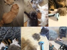 Furminator