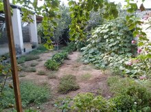 Həyət evi, Suraxanı r.