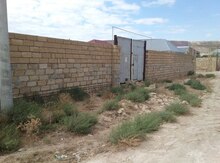 6 sot torpaq sahəsi, Qobu qəs.