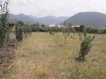 14 sot torpaq sahəsi, İsmayıllı r.