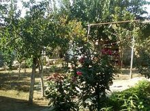 Bağ evi, Maştağa qəs.