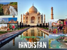Hindistan turu