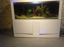 Akvarium