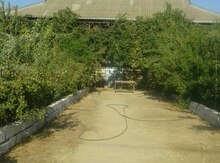 Həyət evi, Hacıqabul r.